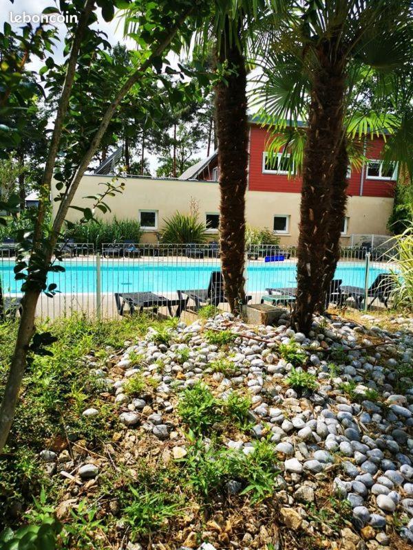 Vacances Ou Cnpe - Appart 2-3 Pers - Le Relais Du Plessis - Richelieu Chaveignes Eksteriør bilde